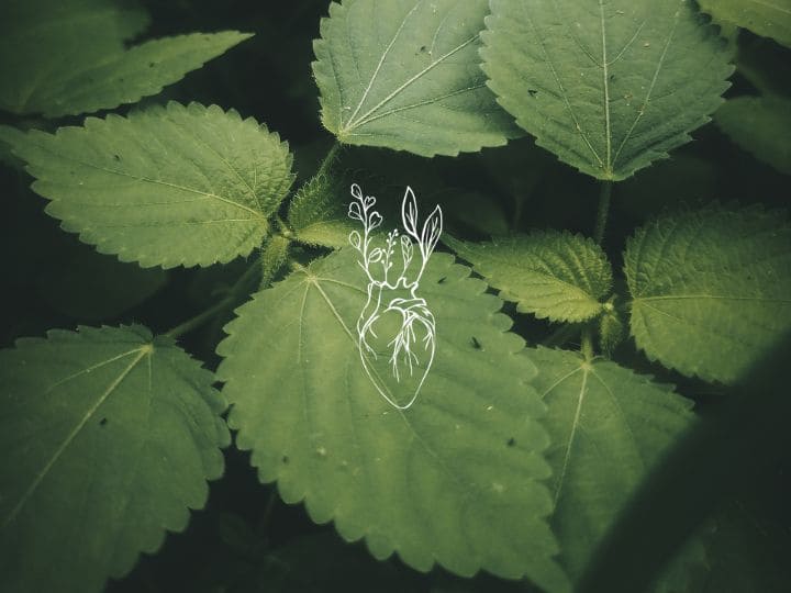 Isologo de Pachamama Zero Waste