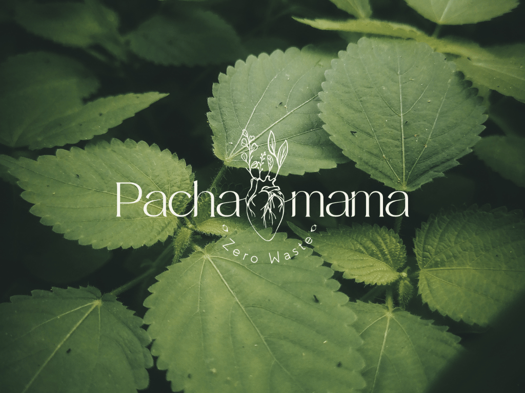 Branding y diseño de identidad visual para Pachamama Zero Waste